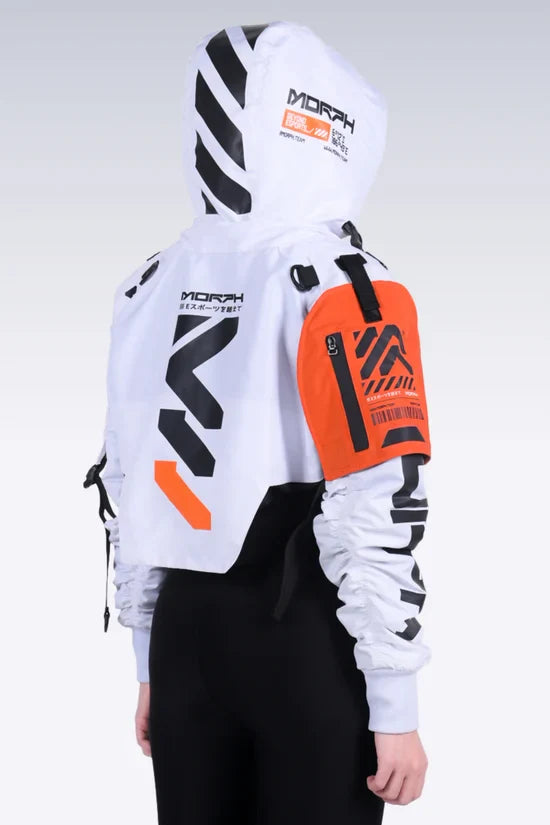 B/TYPE_C3/MORPH[M1]